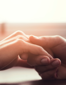 Website_Article_Domestic