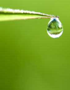 Image of water drop