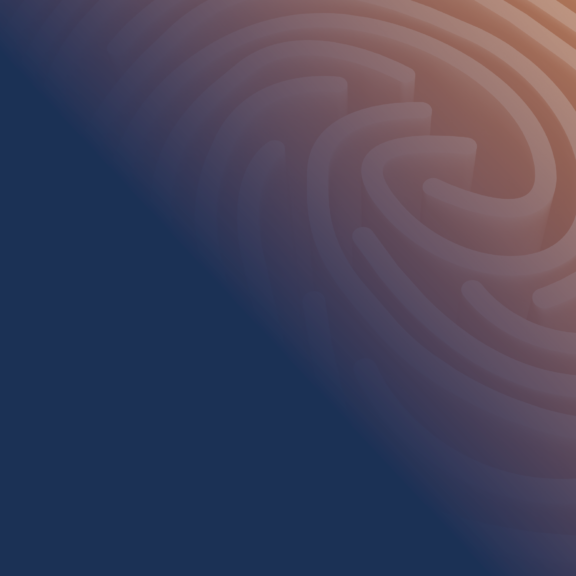 Legal Maze Gradient 2024